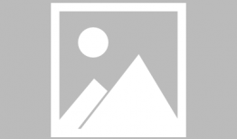 体育明星饭圈化,粉丝经济下的偶像崇拜现象解析