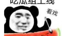 吃瓜的表情包 每日更新今日有料,今日有料新鲜出炉！